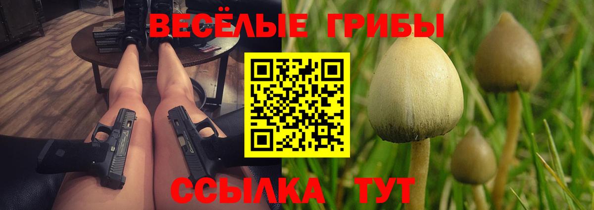 Галлюциногенные грибы Psilocybe  Галлюциногенные грибы прущие грибы  Вход с VPN  Мурманск 